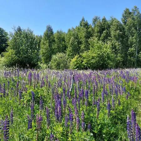 Semesterbostad 